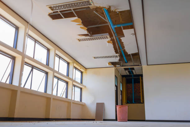 Best Mold removal after water damage  in Cumberland Head, NY