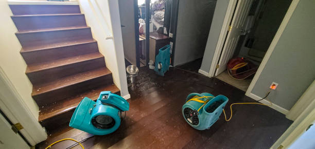 Sewage cleanup and water damage restoration in Cumberland Head, NY