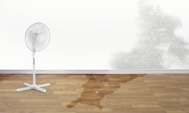 Best Sewage cleanup and water damage restoration  in Cumberland Head, NY