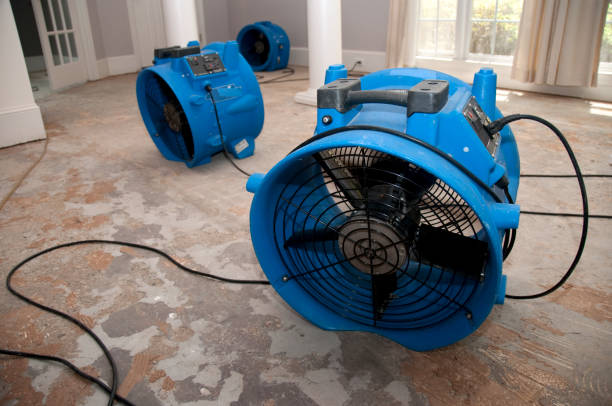 Best Ceiling water damage repair  in Cumberland Head, NY