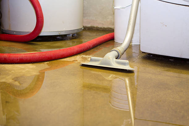 Best Flooded house restoration  in Cumberland Head, NY