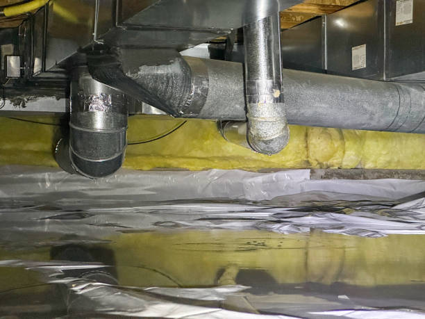 Best Water damage cleanup near me  in Cumberland Head, NY