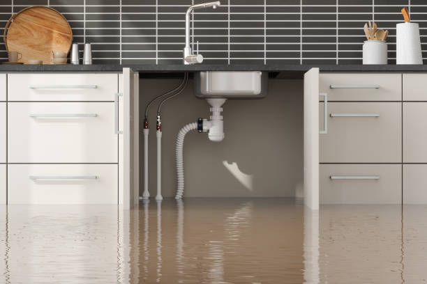 Best 24/7 water damage repair  in Cumberland Head, NY